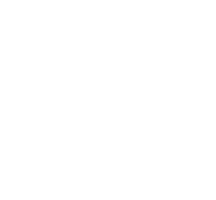 Meta Inteligência Emocional